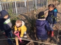 IMG-20191122-WA0007
