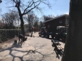 IMG-20190411-WA0004