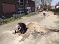 IMG-20190411-WA0006