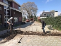 IMG-20190411-WA0013