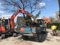 IMG-20190411-WA0016