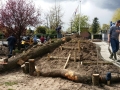 image_00007
