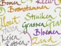 1_foto-visie3-talent
