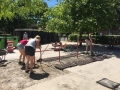 IMG-20180705-WA0010